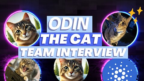 🐈MEET ODIN the Cat: The Purrfect Cardano Memecoin You Need to Know About! 👀 @OdinCardanoCat