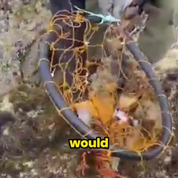 They Fish Without Hooks?! This Technique Will Shock You!