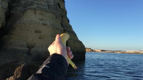 Boat Tour @ Point of Piety (Lagos, Algarve, Portugal) 27