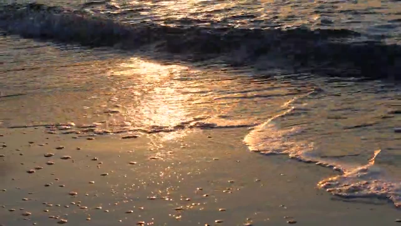 World longest sea beach