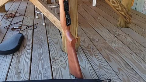 Ruger 10/22