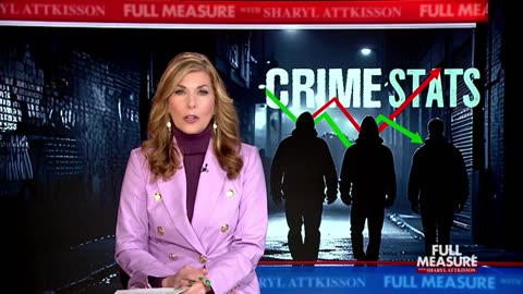 Crime Stats - What the Dems and Media did not want you to know