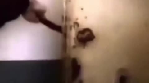 David Cole (who is jewish) discovers contradicting evidence at alleged death camps