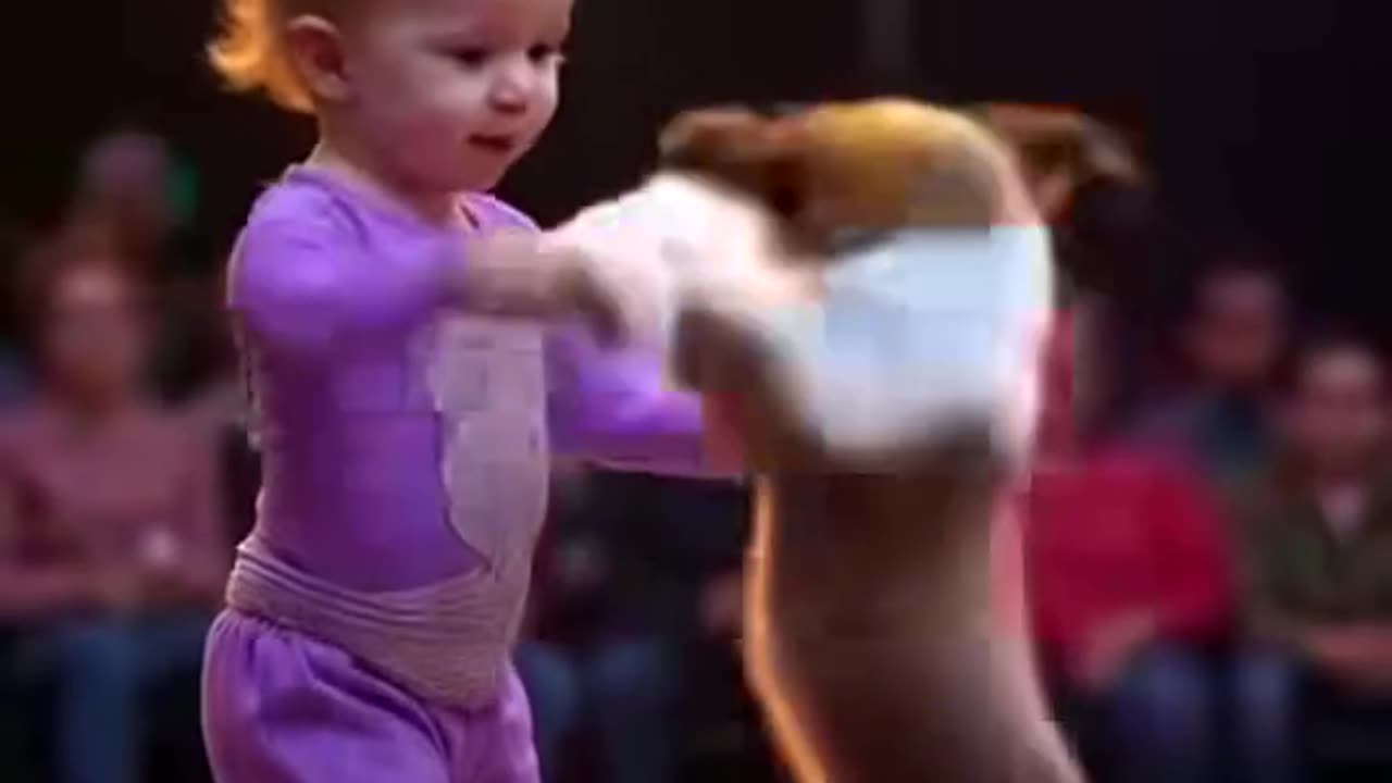 🙀 A delightful dog dancing with a cute girl will amaze you!