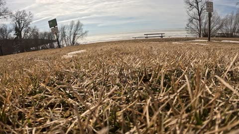 Walking Down the hill to the Frozen Lake