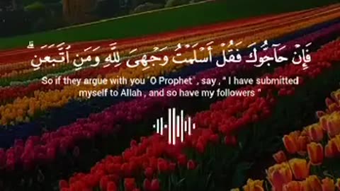 Jaza kallah ♥️✨