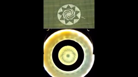 Reptilians Shape Shifters