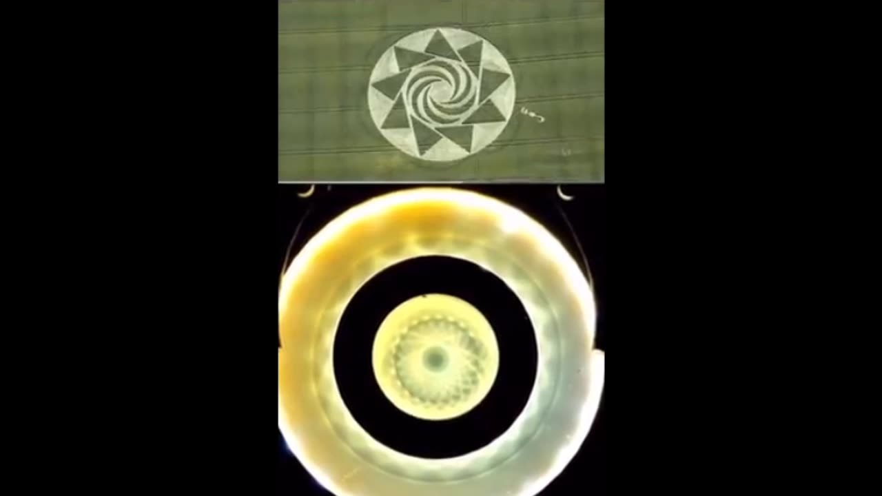 Reptilians Shape Shifters