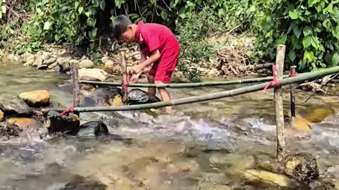 Big Fish Catch😲Survival Video||Arranging the rock to create a trap, uses plastic nets to catch Fish.