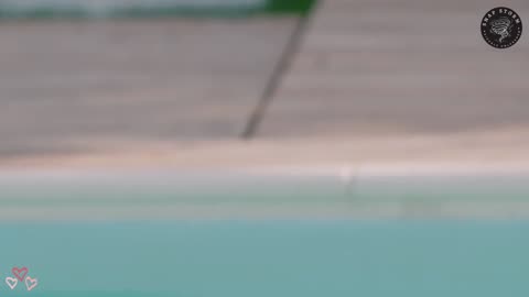 Sexy Bikini Girl at Pool