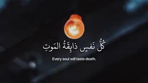 Beshak 💯♥️✨🕊️