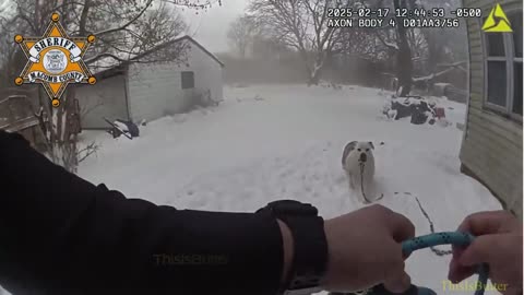 Bodycam shows Michigan deputy rescue dog tethered to burning home