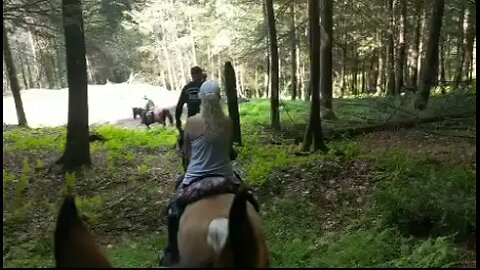 Horse riding, Kettle Creek SP