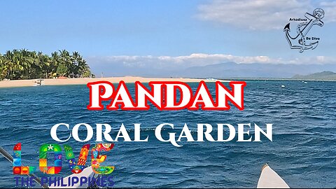 Pandan Coral Garden | Philippines | Occidental Mindoro | Sablayan