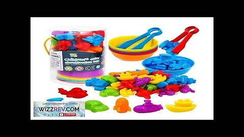 Rainbow Counting Animal Traffic Car Early Education Toy Animal Cognition Montessori Math Review