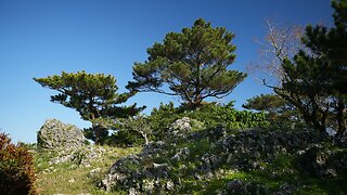 Tried the monorail for the first time to go see Urasoe Castle Ruins. Jan. 14 2025. Okinawa.