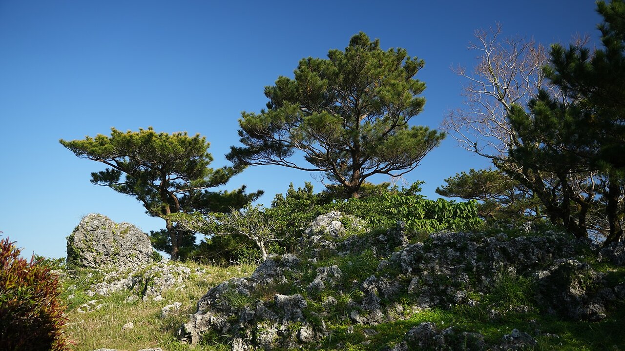 Tried the monorail for the first time to go see Urasoe Castle Ruins. Jan. 14 2025. Okinawa.