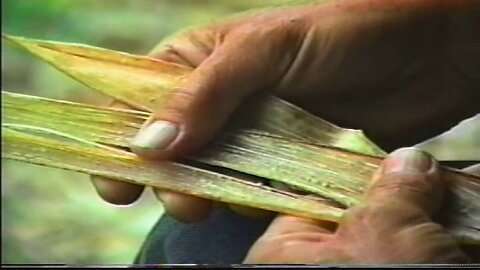 PRIMITIVE SURVIVAL, Advanced Cordage Sinew Bow String - John McPherson