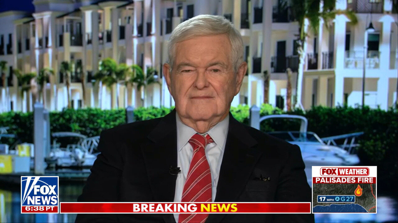 Newt Gingrich: This Is Total Incompetence From A Left-Wing Government