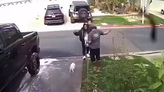 Vile Woman Kicks A Man's Little Dog Across The Lawn