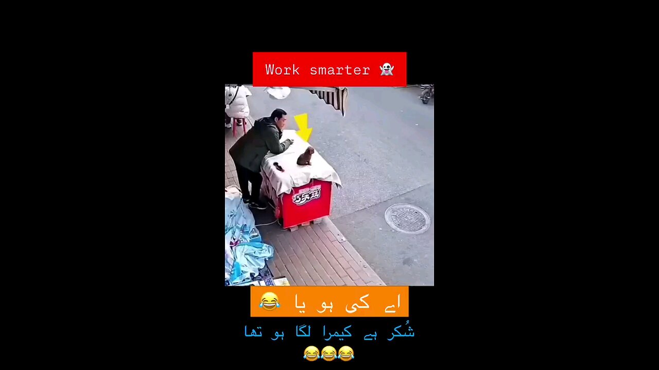 🤣🤣🤣😂😂🤣🤣