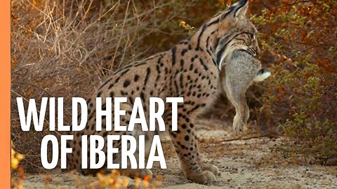 Iberia's Hidden World - A Journey Across Spain _ Portugal