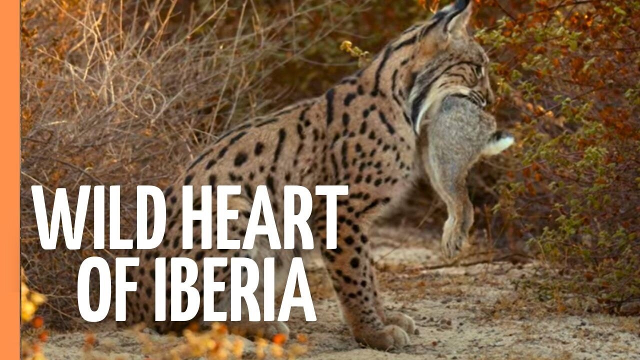 Iberia's Hidden World - A Journey Across Spain _ Portugal