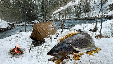 Frozen Feasts: Hot Tent Camping and Wild Cooking in the Heart of Winter#FrozenFeasts