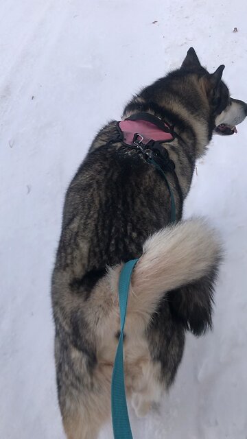 Thursday February 6, For I am God; there is no other.