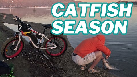 Winter Catfish Season | Lake Elsinore | Fishing Report