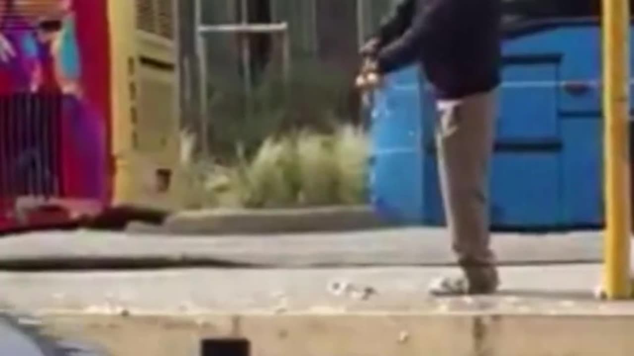 African migrant catching a live pigeon and plucking it for dinner