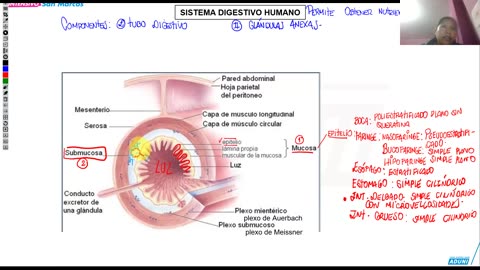 INTENSIVO ADUNI 2024 | Semana 13 | Trigonometría | RM | Biología