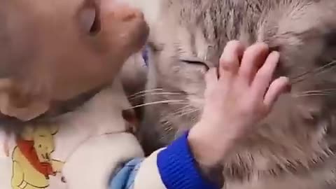 Funny animals😂😂😂😂