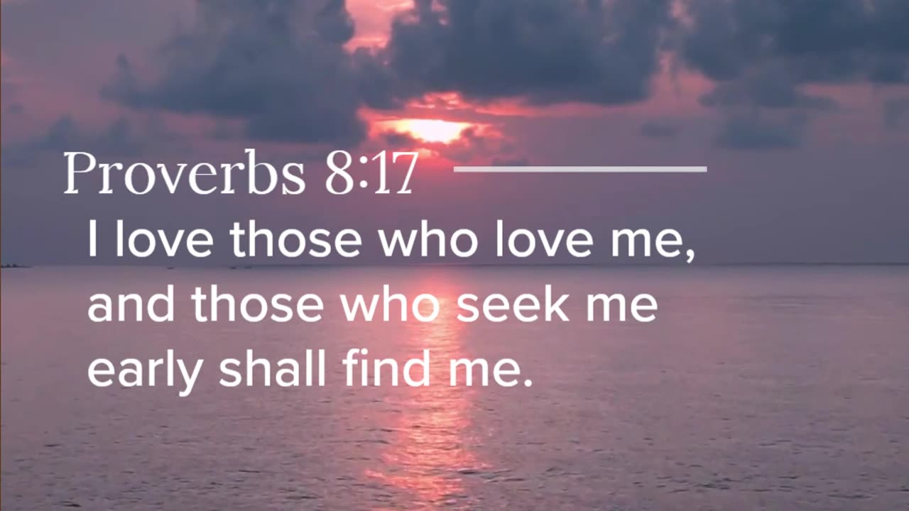Proverbs 8:17
