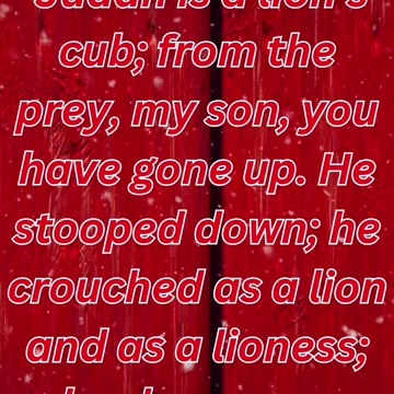 "Judah: The Lion's Promise" Genesis 49:8,9#shortvideo #shorts #youtubeshorts #youtube #ytshorts #yt