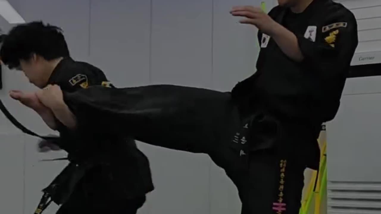 Hapkido