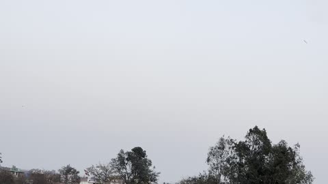 "Joyful Little Boy Flying a Kite | Pure Happiness in the Sky"