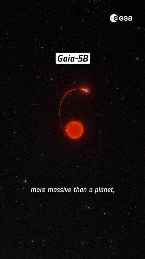 Gaia just made an unexpected discovery 🪐