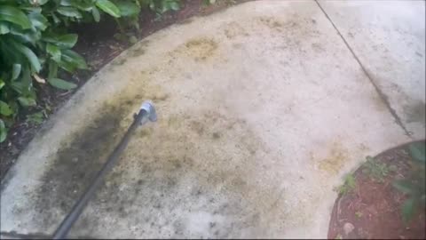 WATCH ALGAE DISAPPEAR INSTANTLY IN 3 SECONDS !!!