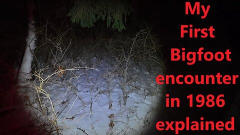 My 1st Bigfoot encounter in 1986 explained