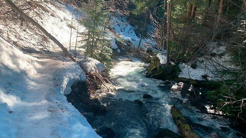 WINTER SNOW ICE HIKING EXPLORING Hugging the Creek Shoreline @ Tamanawas Falls Trail | 4K Mount Hood