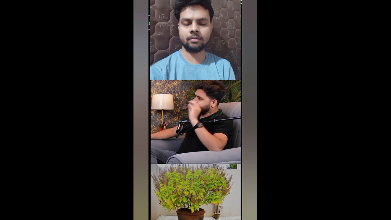 ghar me Tulsi Ji hai