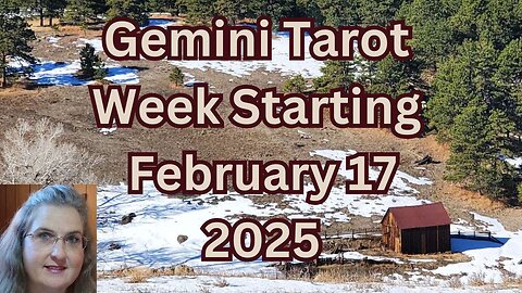 Gemini ~ Finding Harmony for a Loved One in a Government Situation ~ Feb 17-23 ~ Mystic Amista Tarot