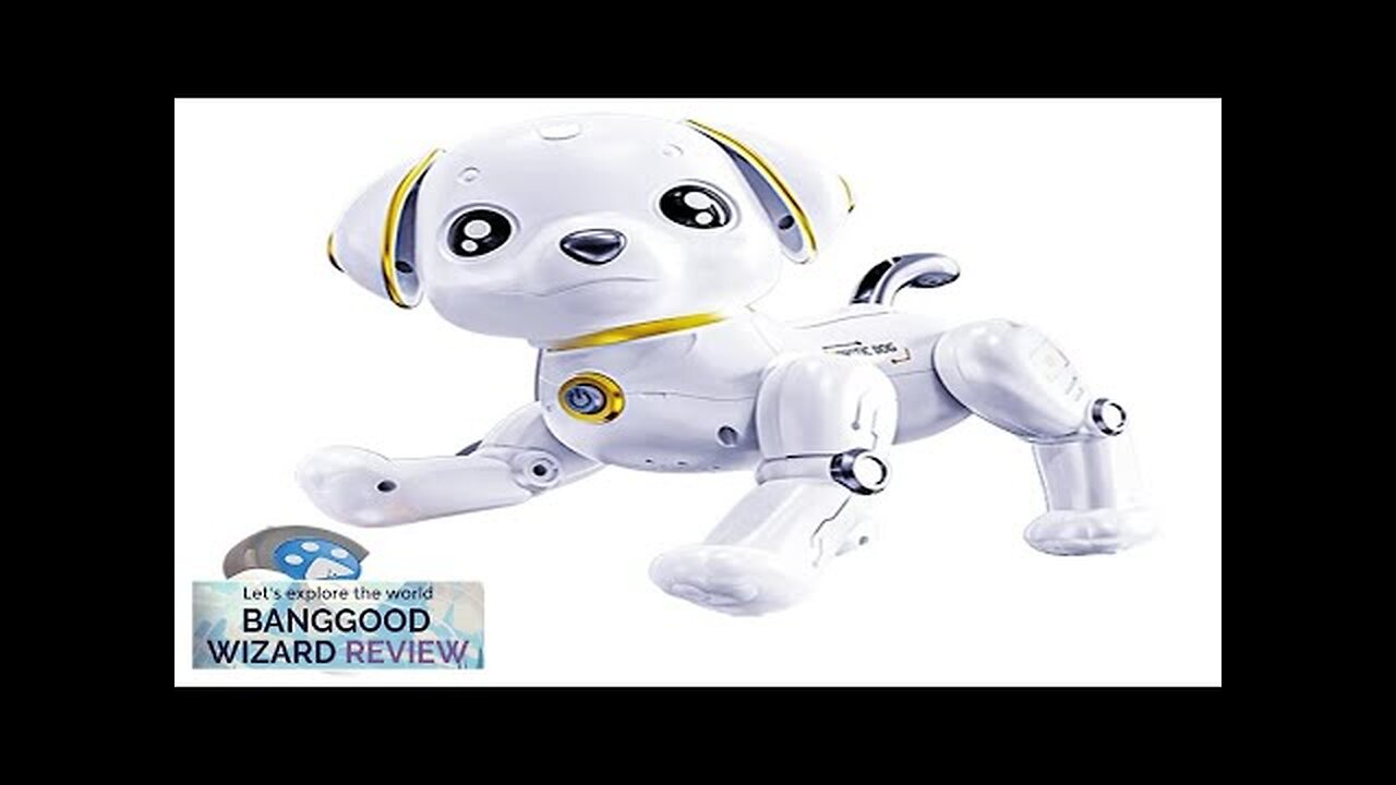 RC Robot Electronic Dog Intelligent Programmable Gesture Control Dancing Robot Dog Pet Review