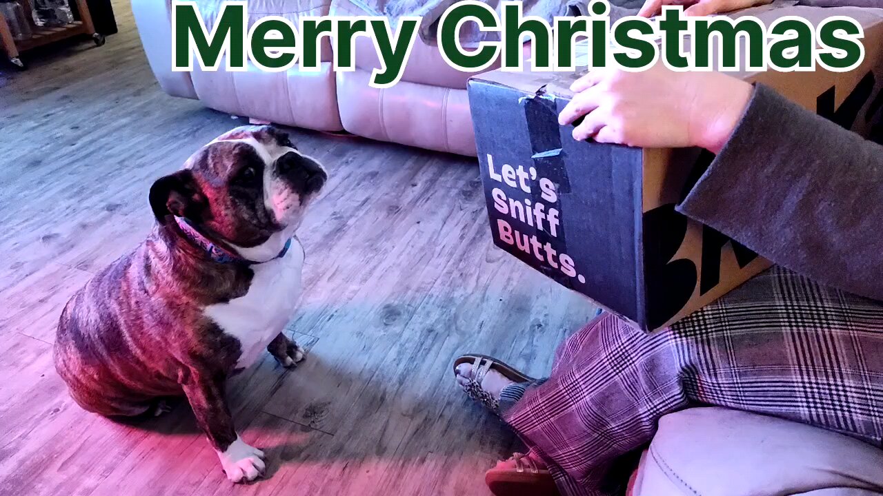 Christmas Extravaganza!