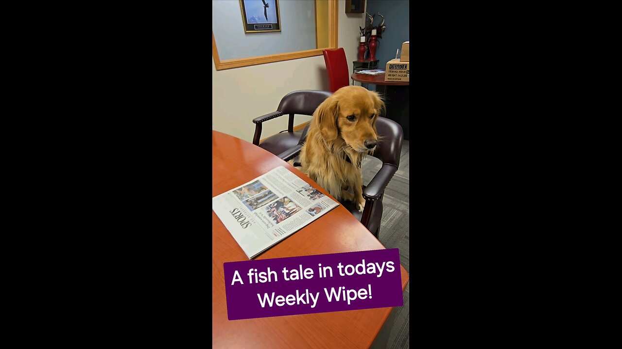 A fish tale for today's WeeklyWipe!