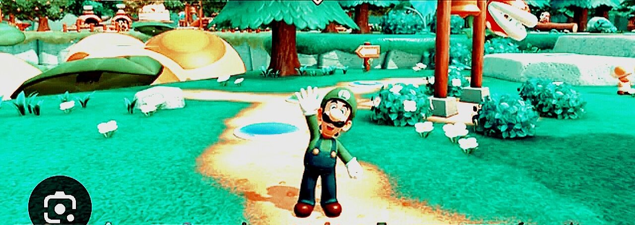 Luigi Waving Hi To His Hater's At Jamboree Party