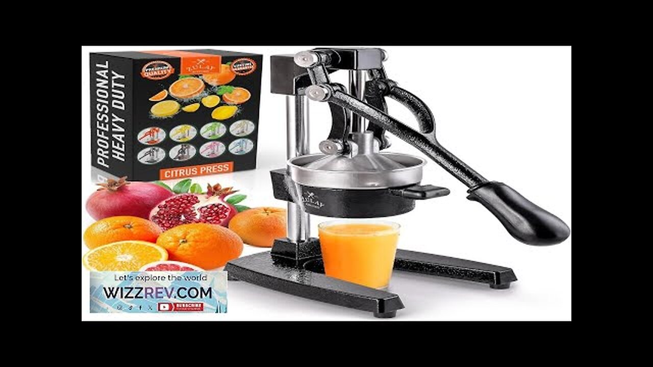 Zulay Kitchen Cast-Iron Orange Juice Squeezer Heavy-Duty Easy-to-Clean Professional Citrus Review