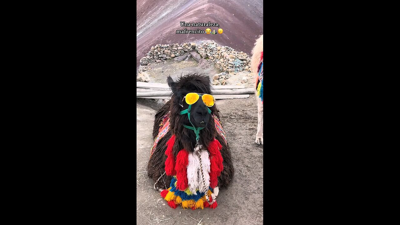 Yervazo