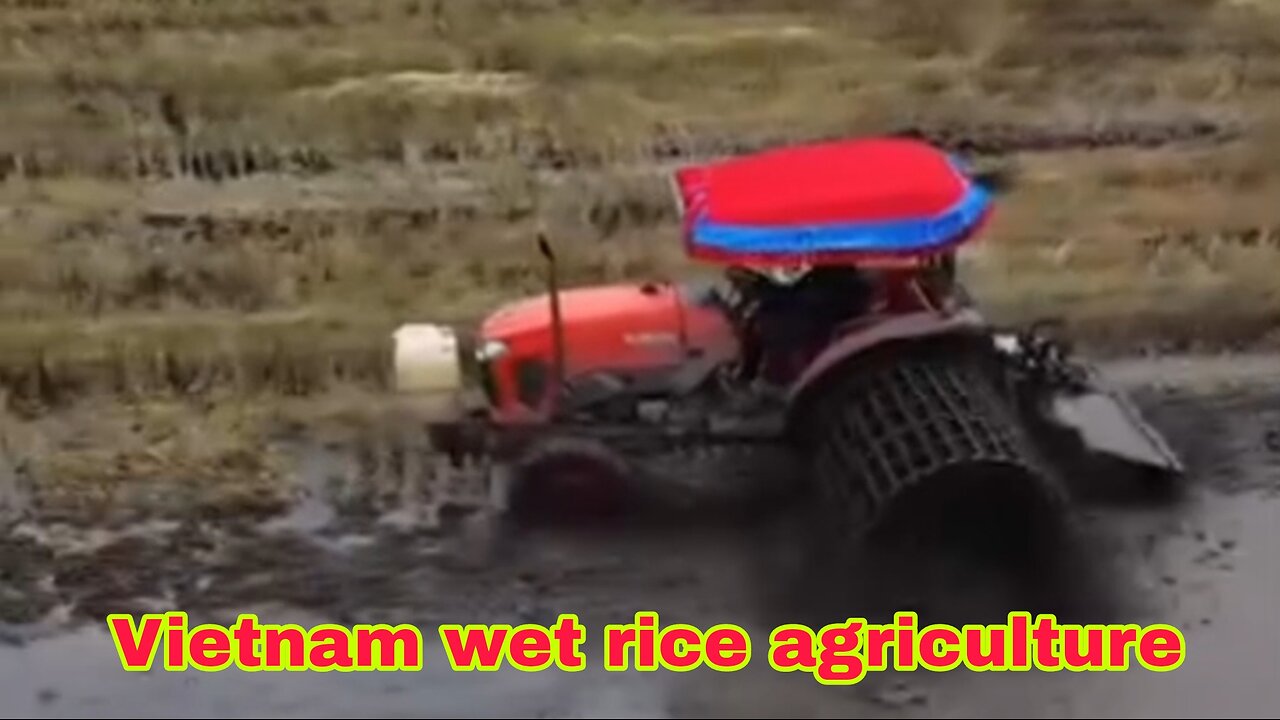 Vietnam wet rice agriculture